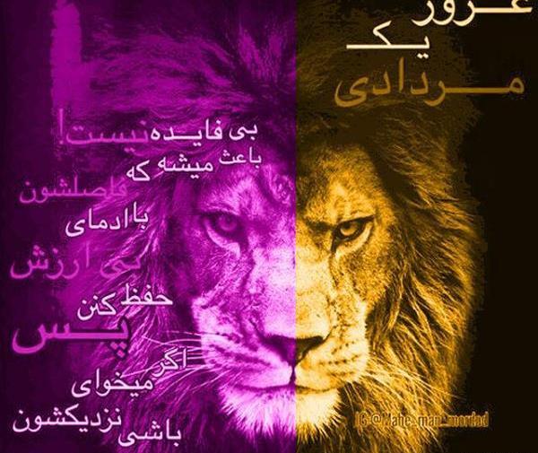 عکس نوشته غرور شیر