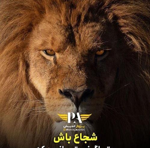 عکس نوشته غرور شیر