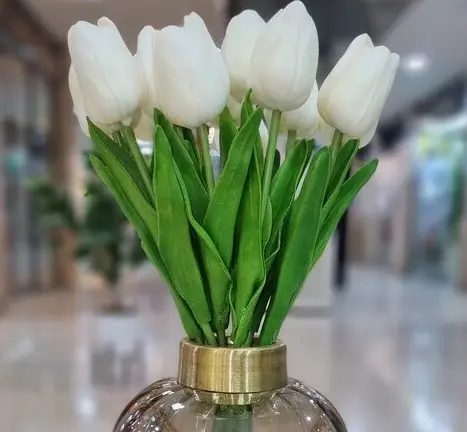 عکس گل لاله دوتایی