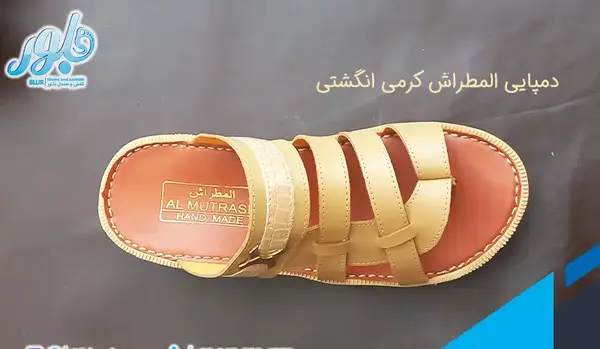 عکس دمپایی المطراش