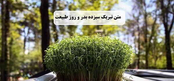 عکس سیزده بدر برای معلم