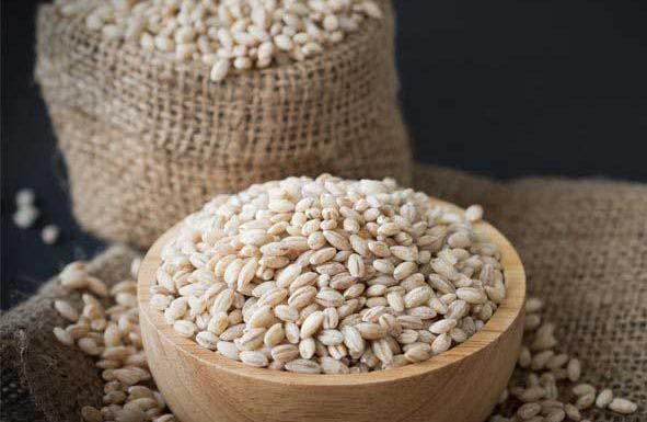 عکس جو ترش