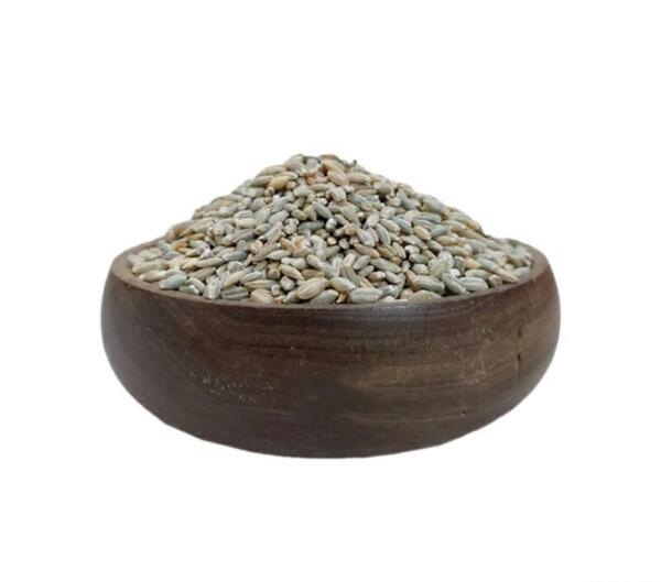 عکس جو ترش