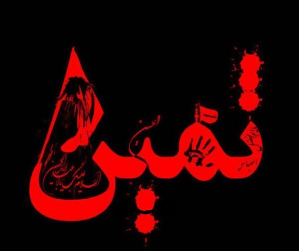 عکس نام ثمین