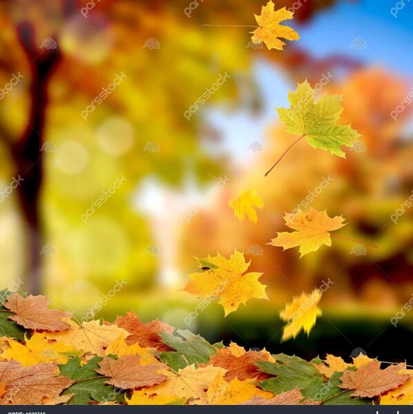 عکس پاییز زیبا برای تصویر زمینه