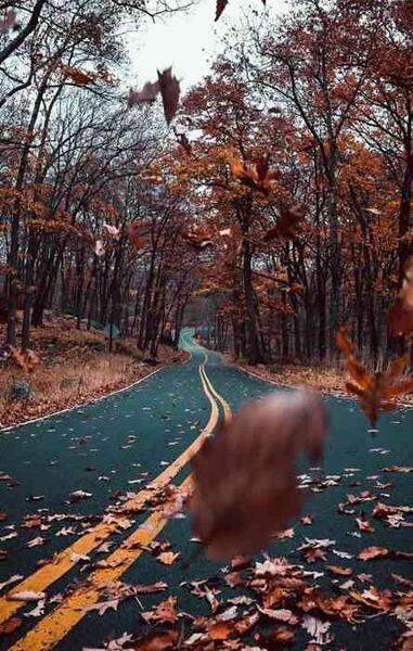 عکس پاییز زیبا برای تصویر زمینه