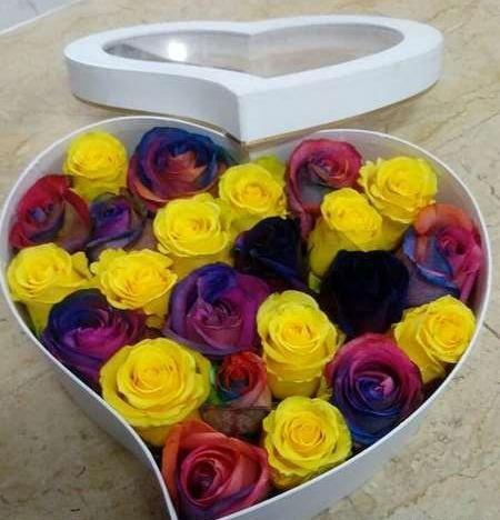 عکس گل رز زرد