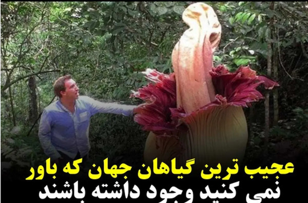 عکس گل ترسناک ترین