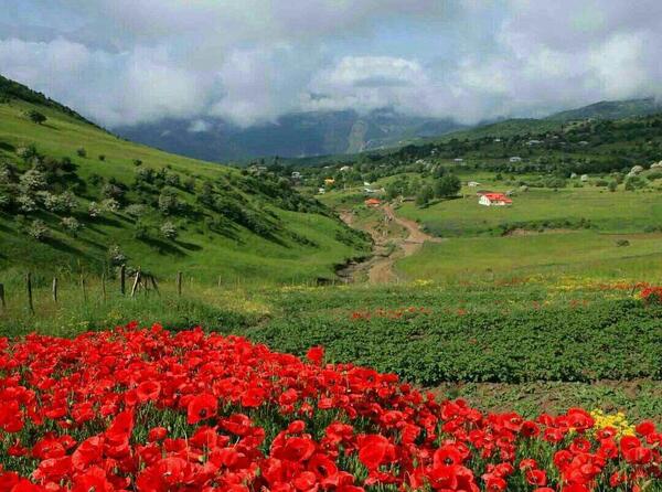 عکس زیبا از طبیعت گیلان