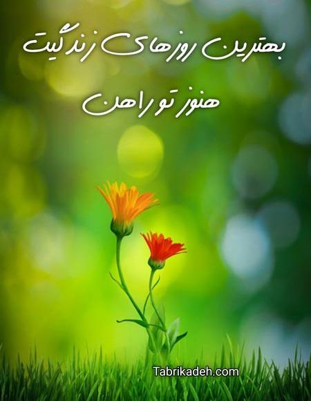 عکس نوشته انرژی مثبت دهنده