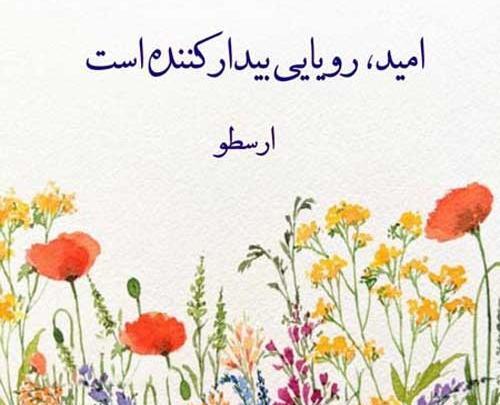 عکس نوشته ی رویای من