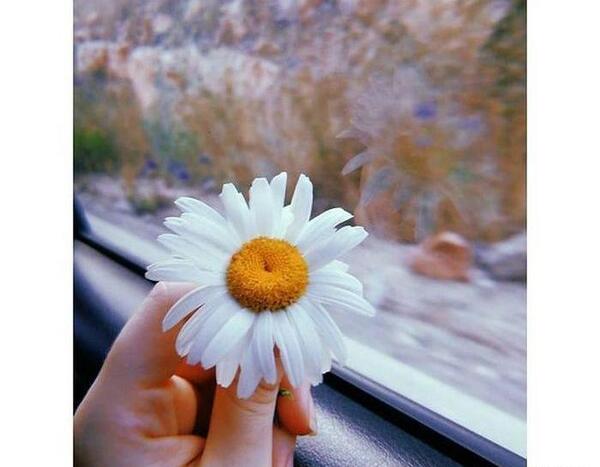 عکسهای زیبا برای پروفایل واتساپ جدید