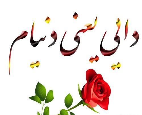 عکس دایی یعنی