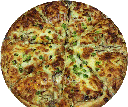 عکس پیتزا مرغ و قارچ