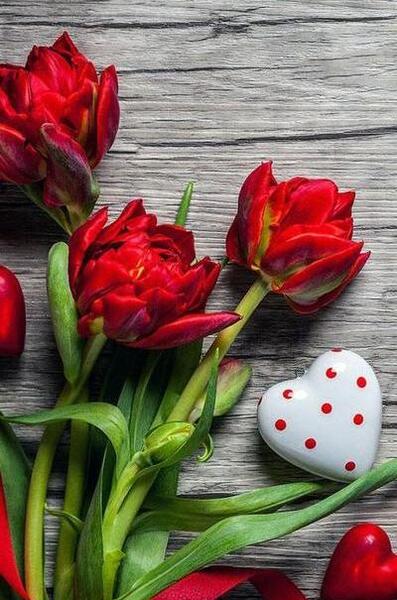 عکس قشنگ برای صفحه ی گوشی