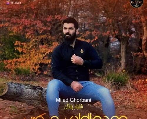 عکس آهنگ شلوار پلنگی