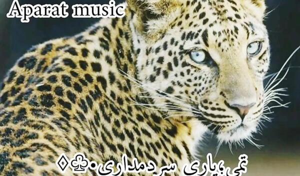 عکس آهنگ شلوار پلنگی