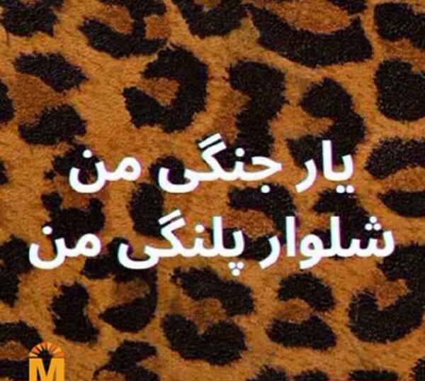 عکس آهنگ شلوار پلنگی