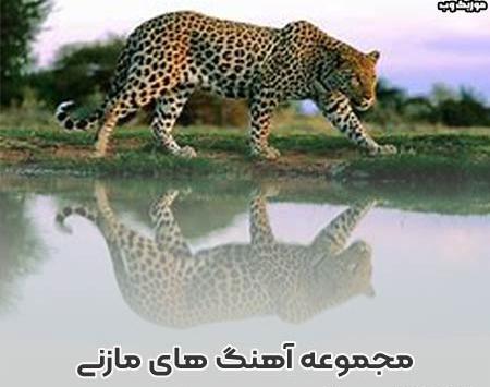 عکس آهنگ شلوار پلنگی