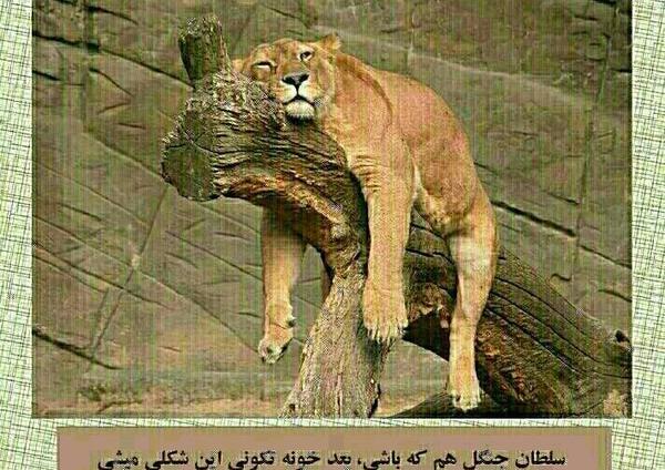 عکس طنز خونه تکونی