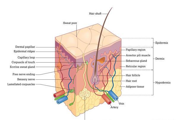عکس ساختمان مو
