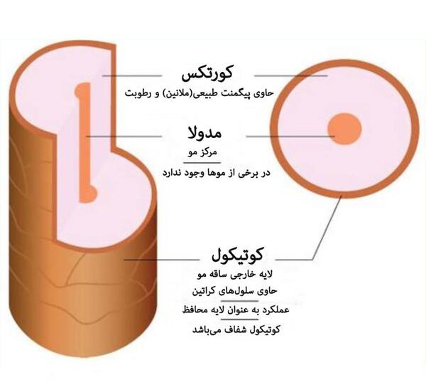 عکس ساختمان مو