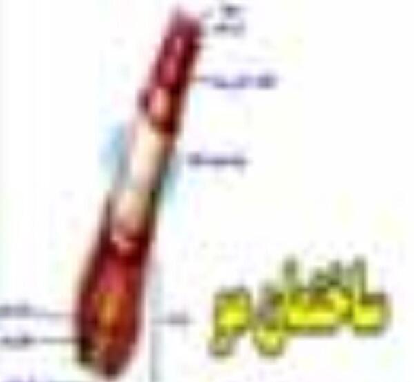 عکس ساختمان مو