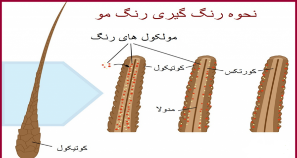 عکس ساختمان مو
