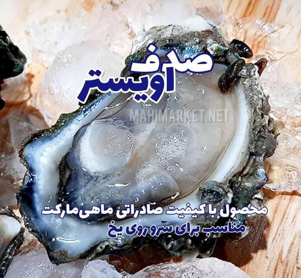عکس صدف خوردنی