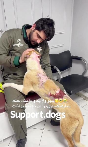 عکس حیوانات جهنم