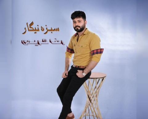 عکس رضا کریمی