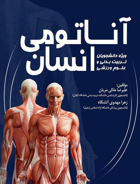 دانلود عکس اناتومی بدن