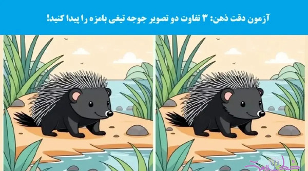 عکس عكس جوجه تيغي