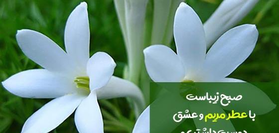 عکس نوشته مریم جون