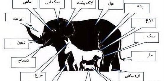 عکسهای خطای دید جالب