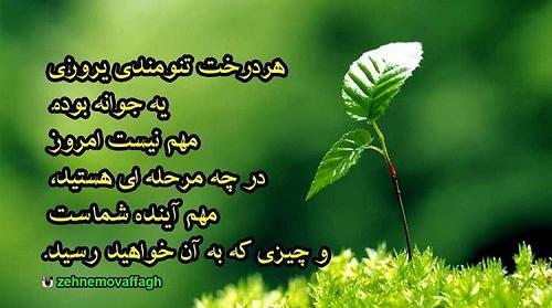 عکس جالب نوشته شده