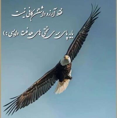 عکس عقاب با متن سنگین