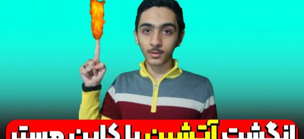 عکس مستر کات