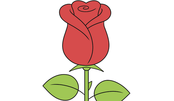عکس نقاشی گل ساده ذهنی