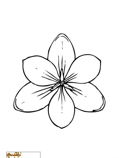 عکس نقاشی گل ساده ذهنی