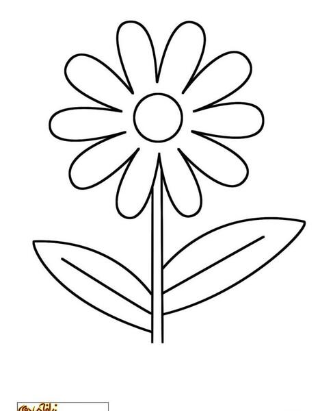 عکس نقاشی گل ساده ذهنی