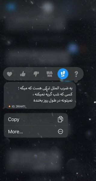 عکس نوشته ضرب المثل ترکی