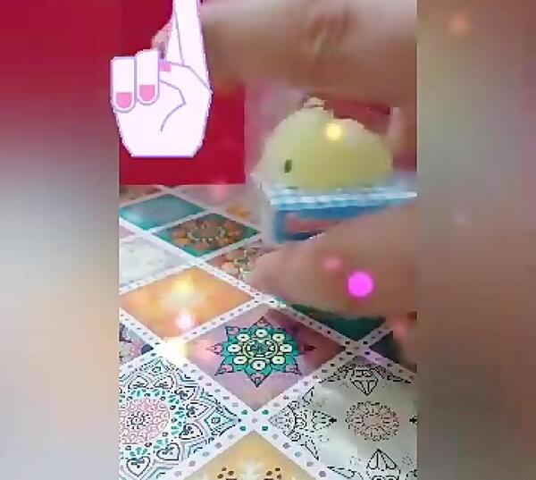 عکس نرمالو جوجه تیغی