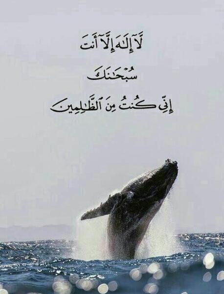 عکس پس زمینه ذکر