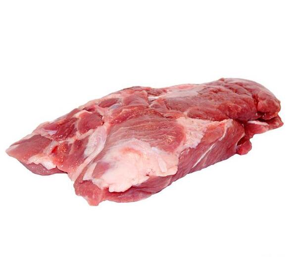 عکس گوشت عقاب