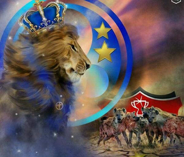 عکس شیر آبی برای پروفایل