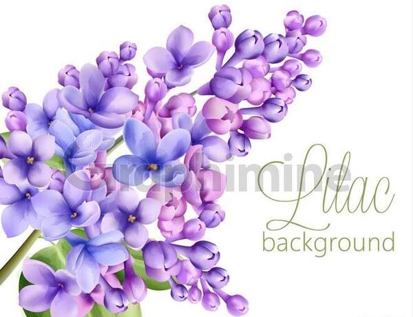 عکس نقاشی گل یاس برای کلاس اول