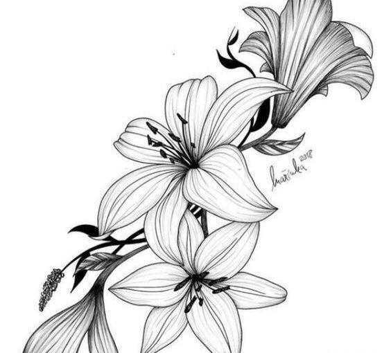 عکس نقاشی گل یاس برای کلاس اول