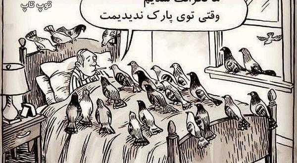 برنامه ی عکس روی کیک تولد