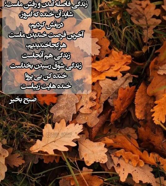 عکس نوشته صبح بخیر فاطمی